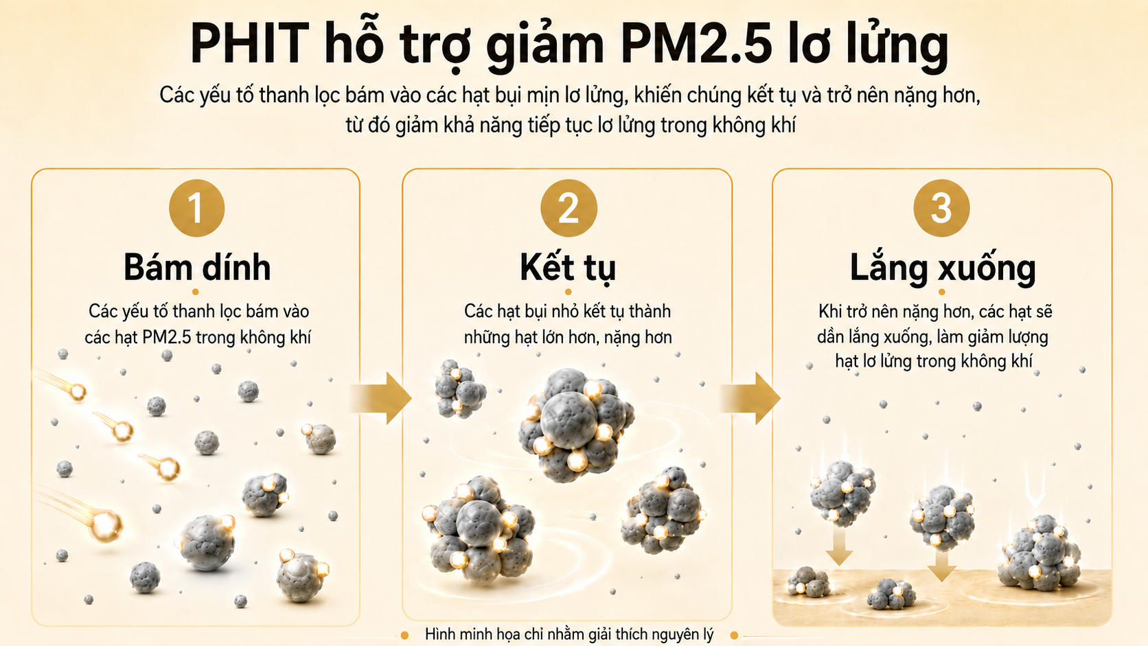 PHIT Analysis 2